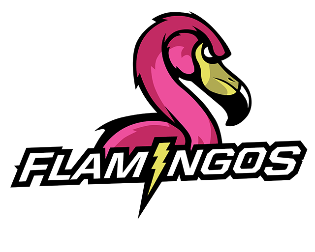 Flamingos Hockey